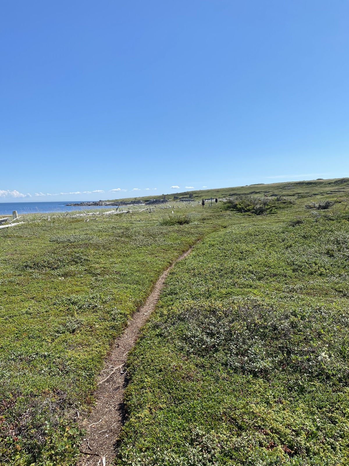 Réflexion du bout de la route de la Cote Nord
