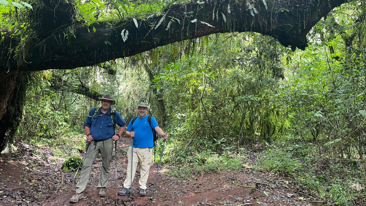 Kilimanjaro jour 7