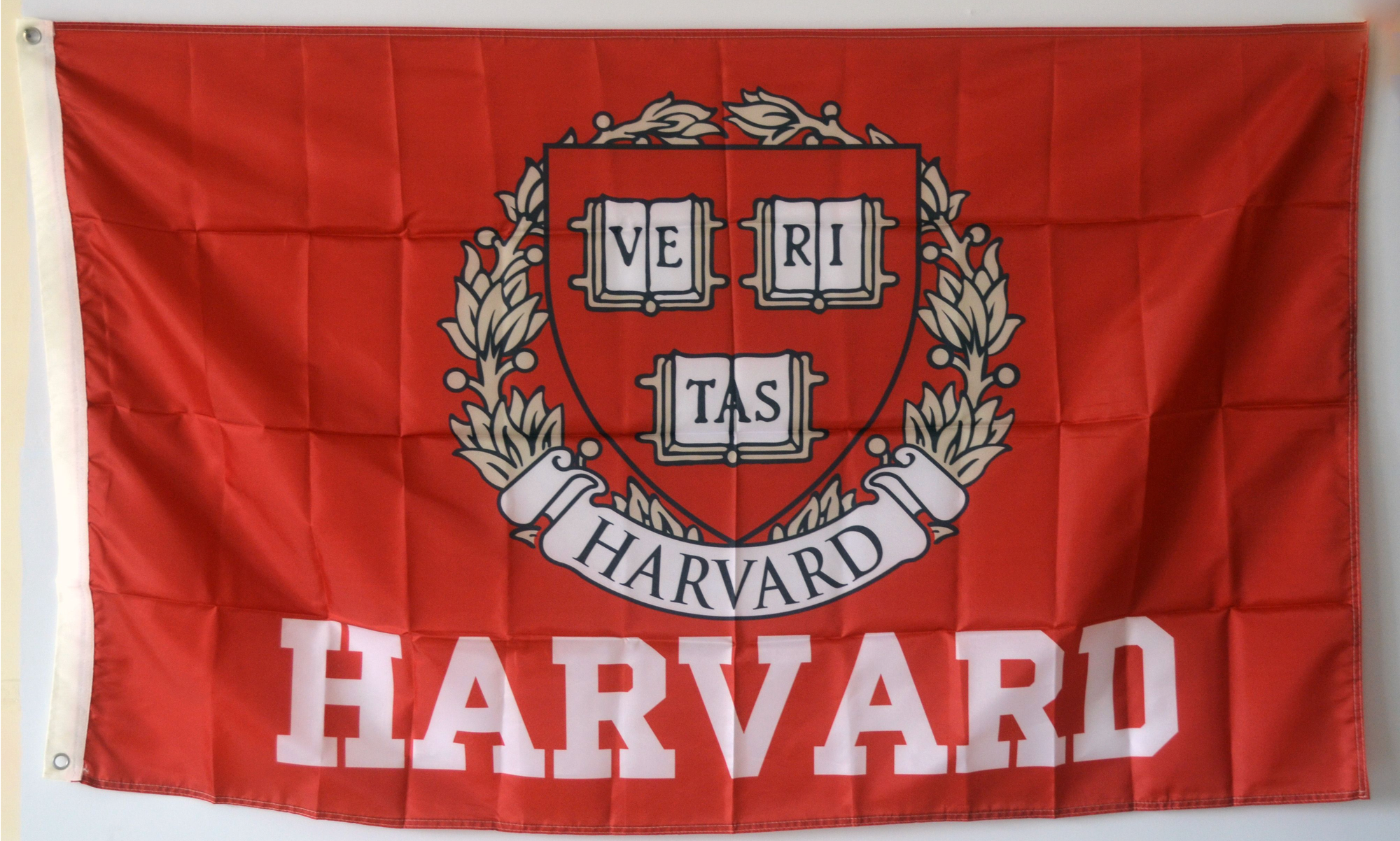 Judge Dismisses U.S. Government's Lawsuit Against Harvard for Alleged Title VI Claim for Failing to Stop Antisemitism on Campus