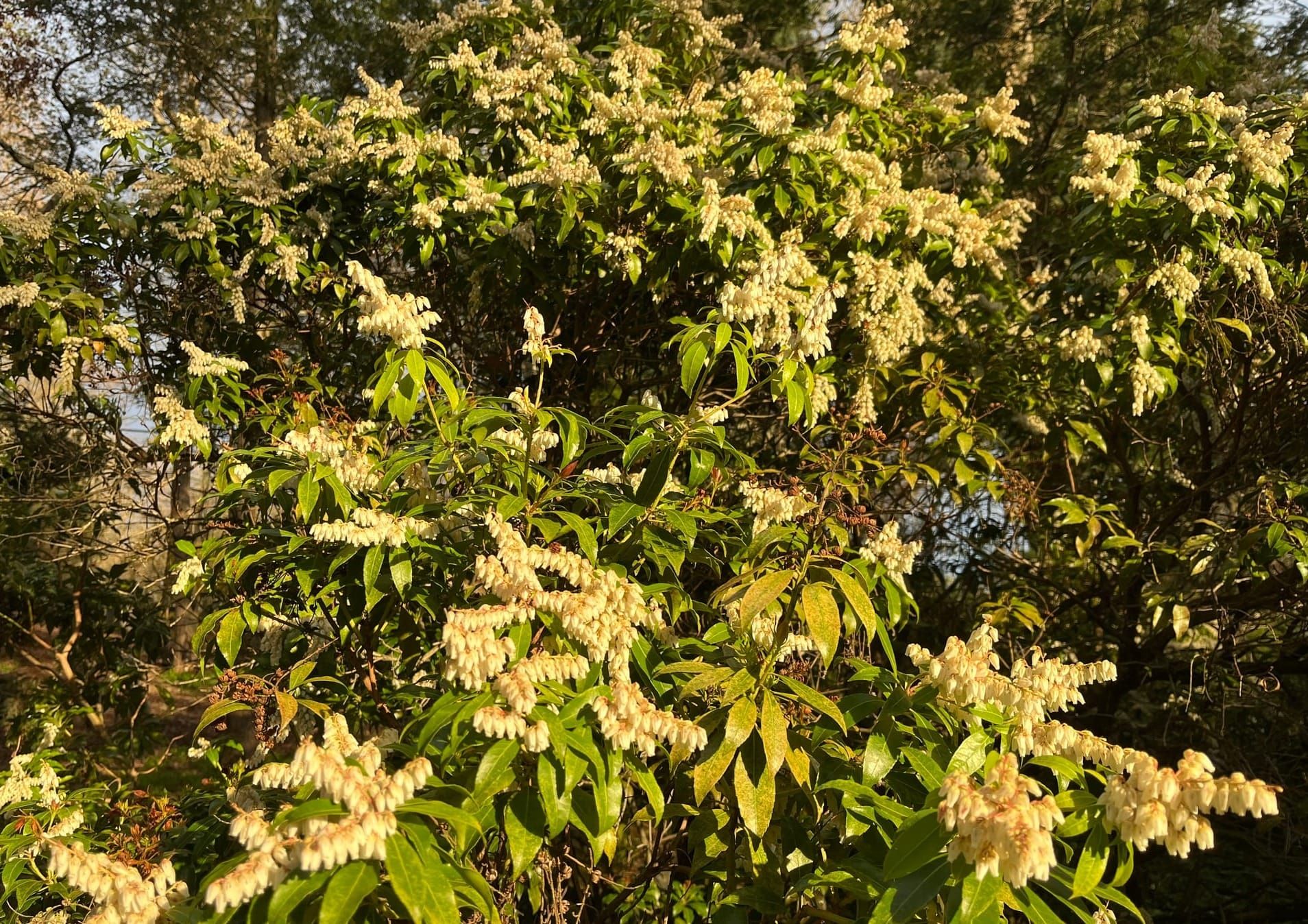 May Events (curated)