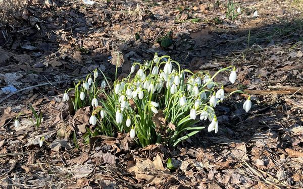 April Events (curated)