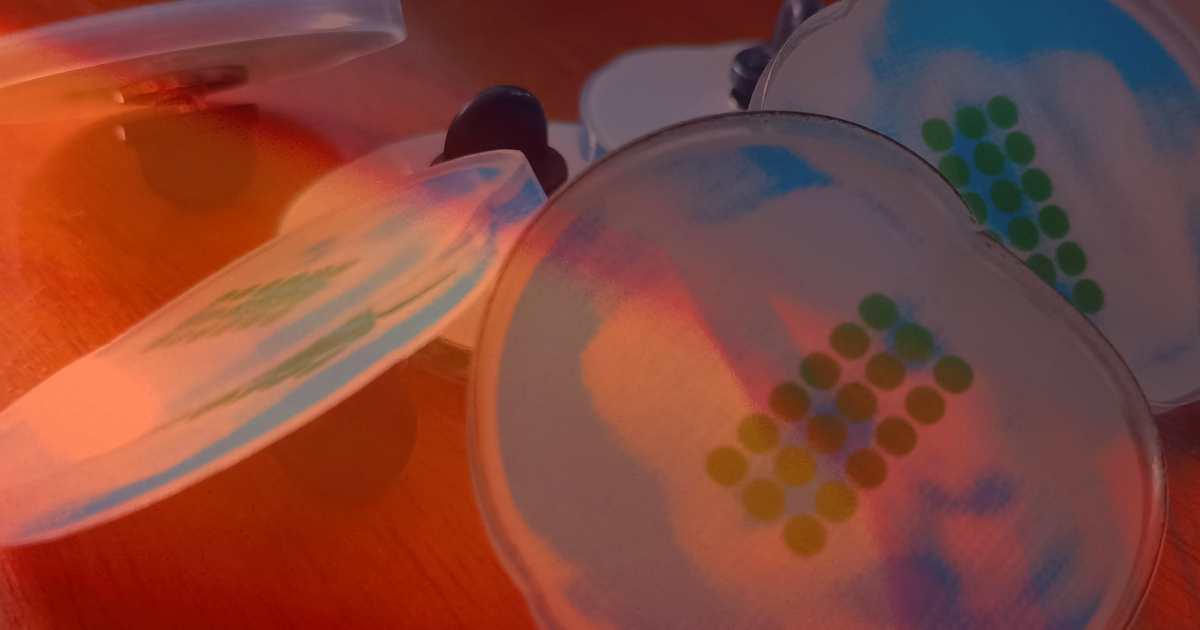 Pizza, Arranging Nothing, and a Nighttime Dance