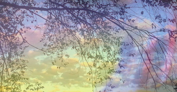 Beginnings, Introductions, “It is a start”