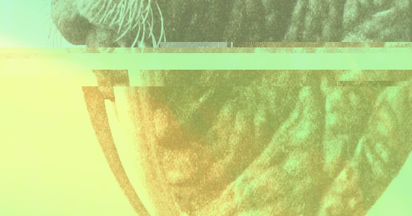 Futures Sorts of Things