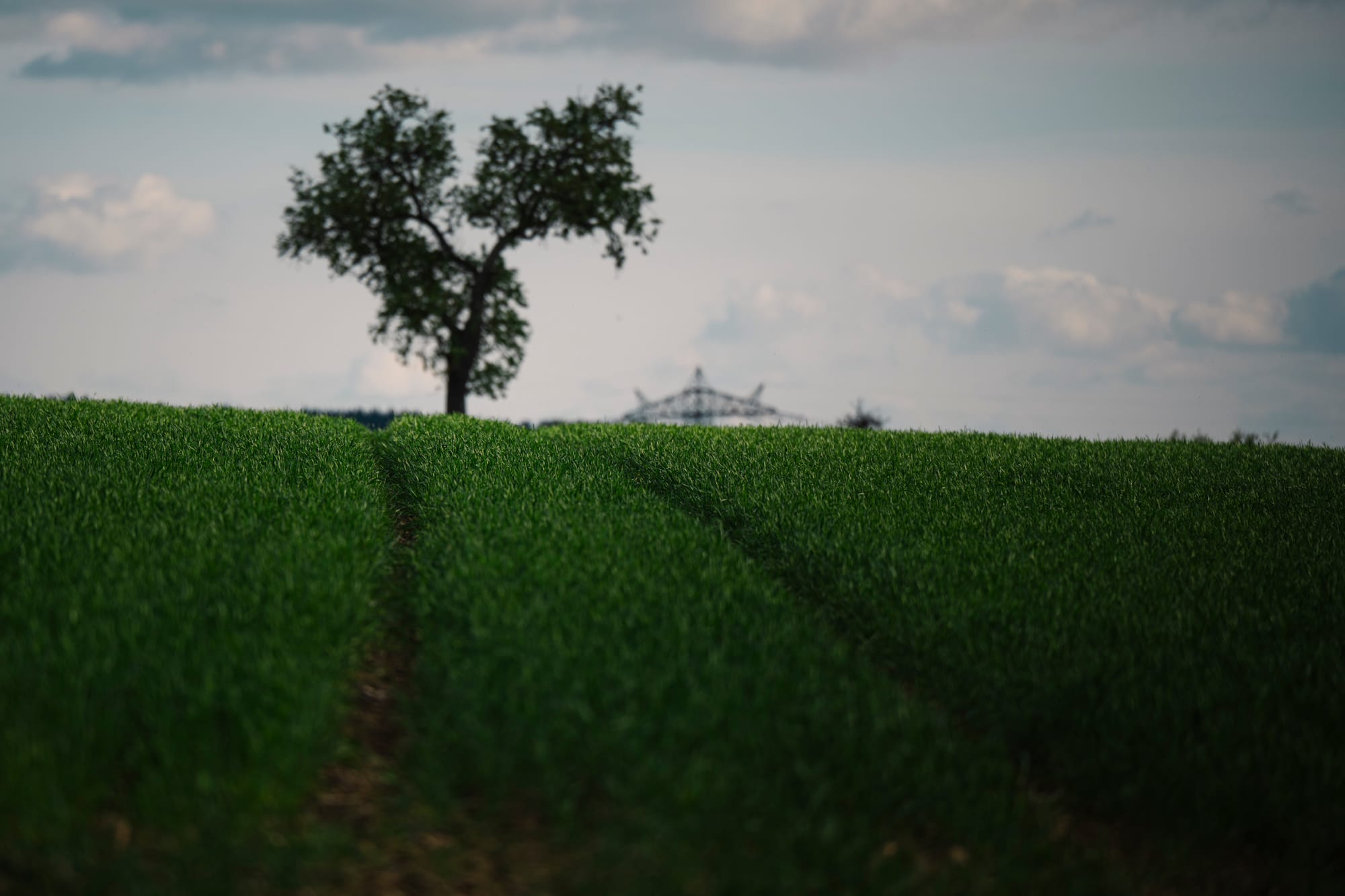 Weekly Bullshit Roundup #6