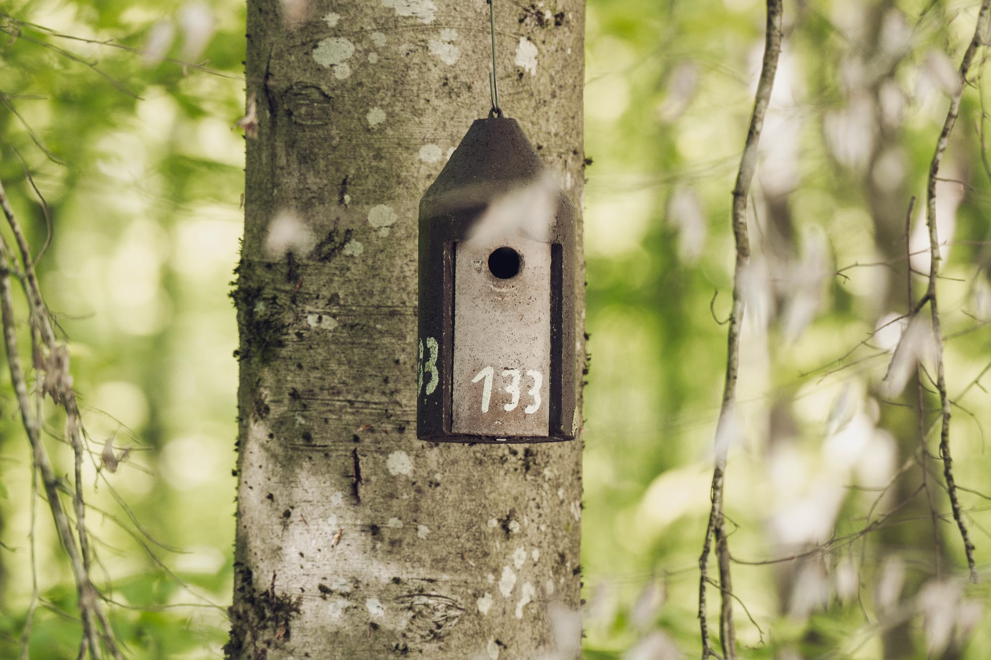 Weekly Bullshit Roundup #7