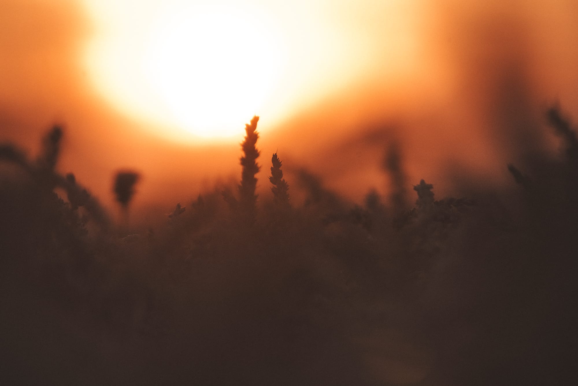 Photos: Heatwave