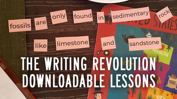 Small paper rectangles, each with one word, are lined up to spell a sentence: "Fossils are only found in sedimentary rock l