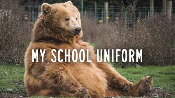A sweet, tubby grizzly bear, sitting on the ground.