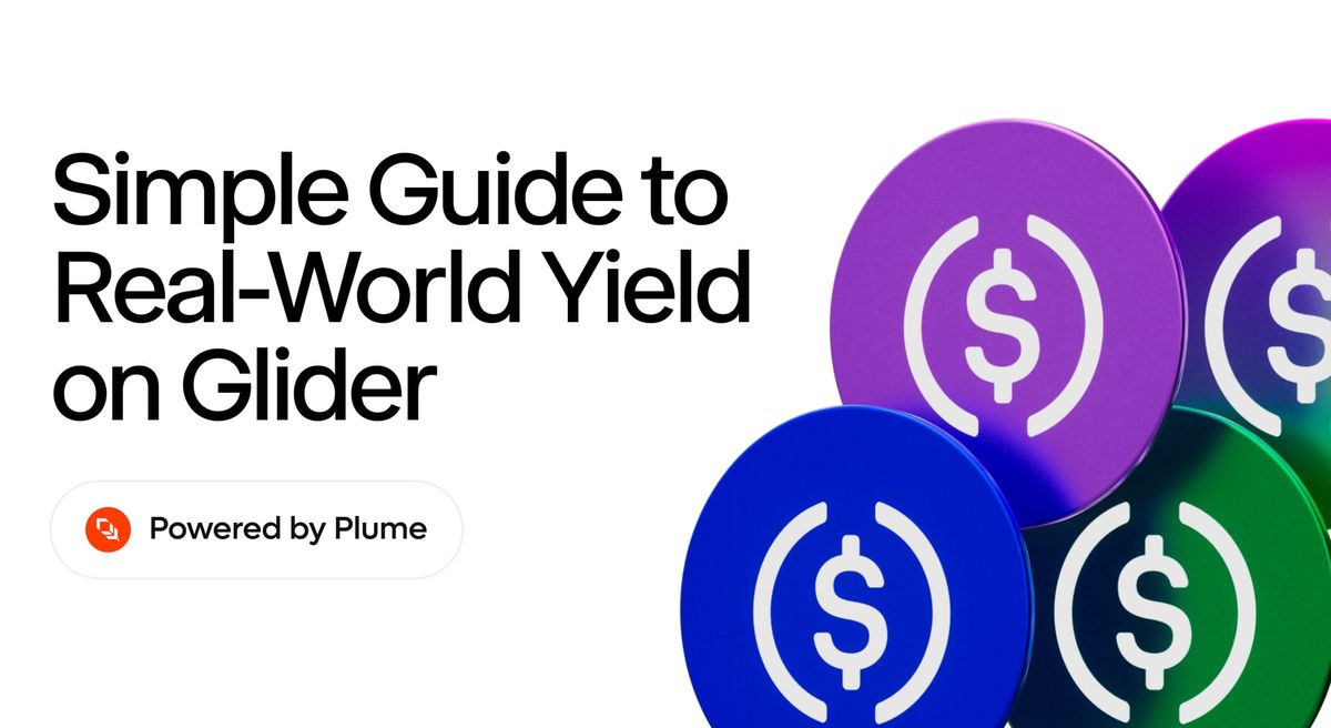 Understanding Nest Vaults on Glider