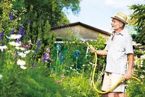 家中老爸创造“无蚊”世界