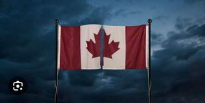 疯了|加拿大这回真缺钱了，自由党开征新税，这一福利面临破产，全民直接末路狂奔！