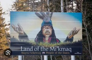 惊了|加拿大华人区上演拍案惊奇，重磅判决史无前例，未来该如何应对！