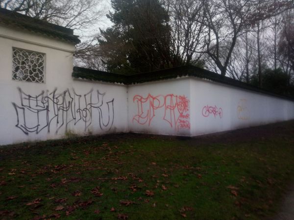 温哥华中山公园再遭大面积损毁！又是冲着华人来的？