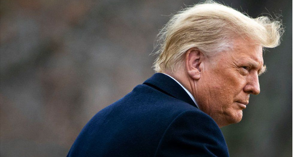 记者卧底特朗普真实社群，调查报告新鲜出炉