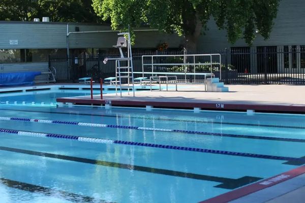 征文015-相约泳池