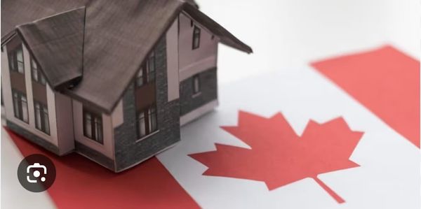 重磅|在加拿大没房就等于死亡，租房比找工作还难，房客的命由谁来管！