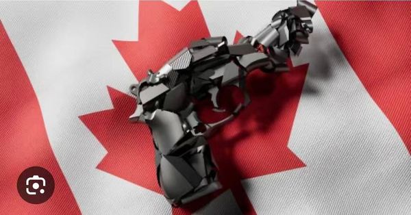 炸锅|美国政治暴力或蔓延加拿大，特朗普盟友遇刺打开潘多拉魔盒，内战一触即发！