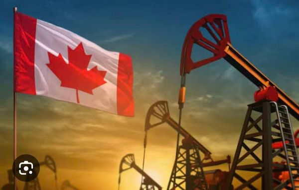 惊了|卡尼彻底服软，要向特朗普送这份大礼，加美新一轮较量谁输谁赢！