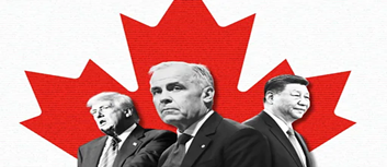 特朗普逼出“叛变”！加拿大财长紧急访华，4天生死谈判：一边跪舔市场，一边拿人权装腔