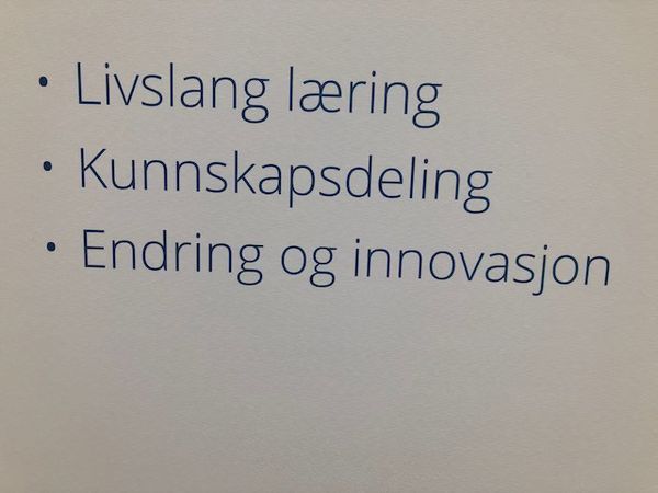 Så du tror du vil ta mastergrad?