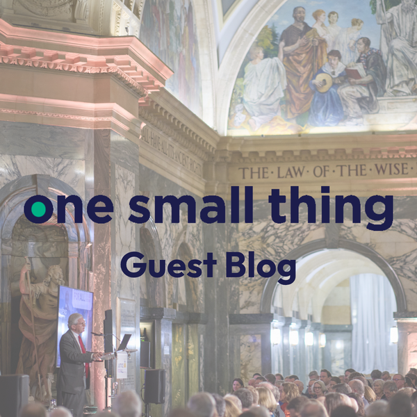 One Small Thing - Guest Blog