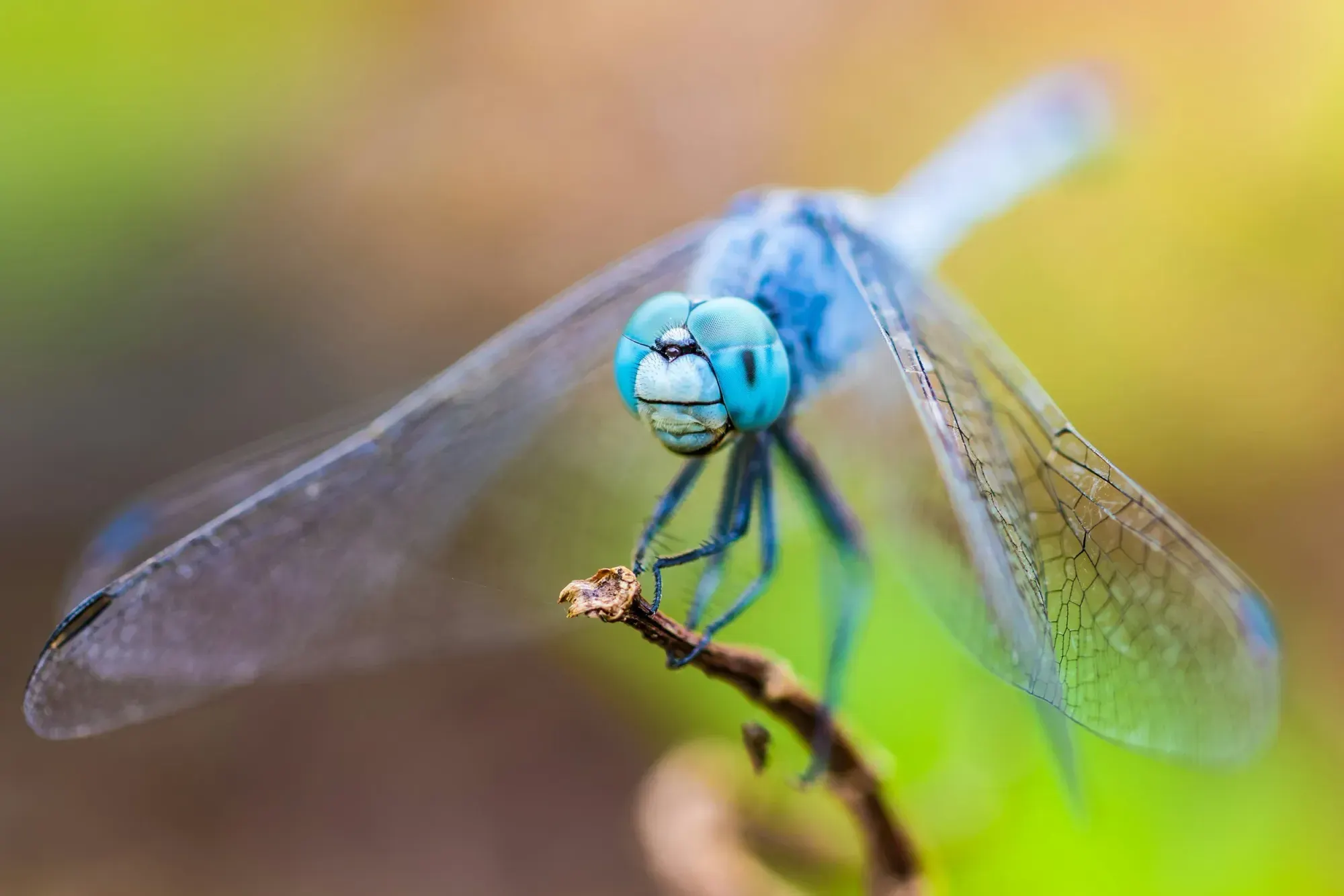 Breaking Down Barriers: Insights from Our Recent Bug Bounty Communications Scenario