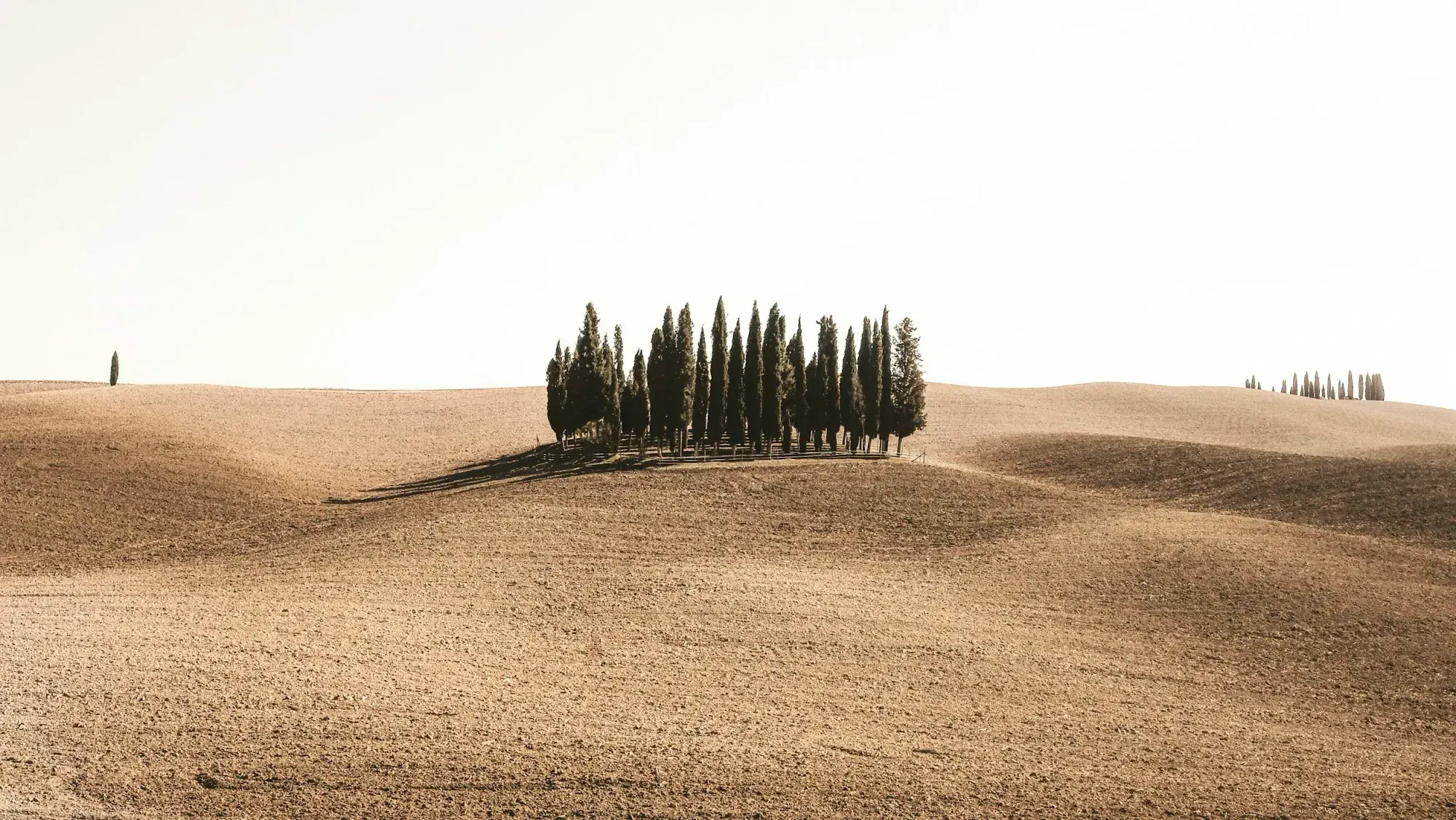 When Less Is More: The Argument Dilution Effect