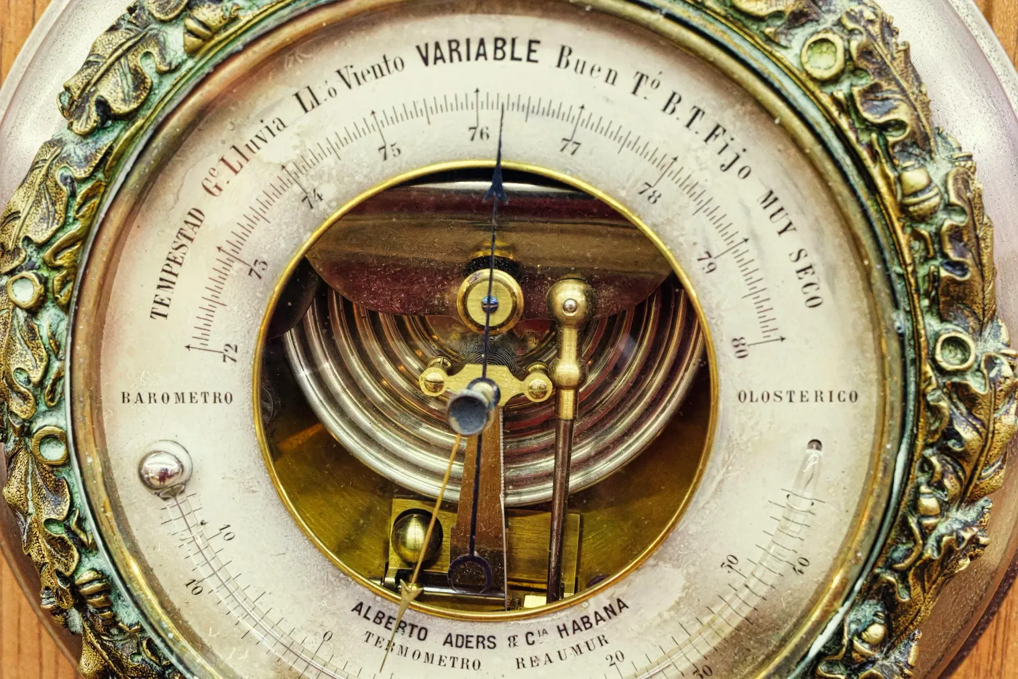 The CISO's Guide to Making the Business Case: How Security Investments Drive Brand Performance