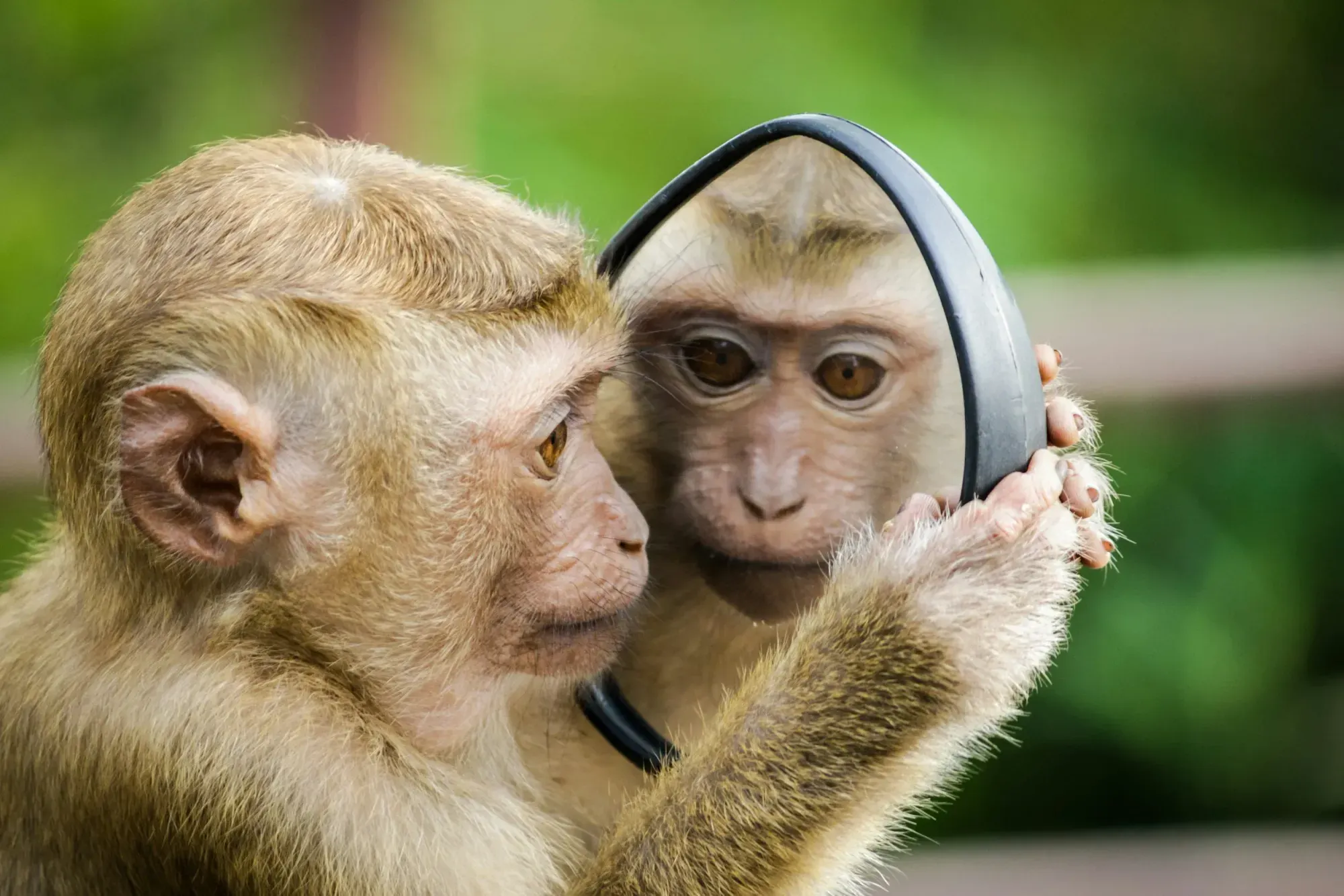 Your Team's Communication Isn't Just What You Say – It's Who You Are: Understanding Constitutive Theory