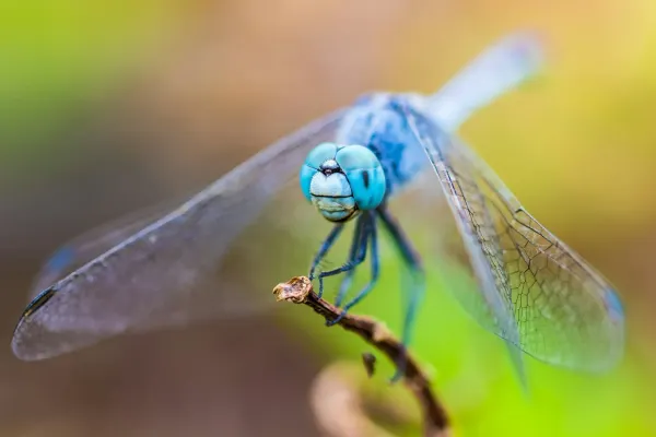 Breaking Down Barriers: Insights from Our Recent Bug Bounty Communications Scenario