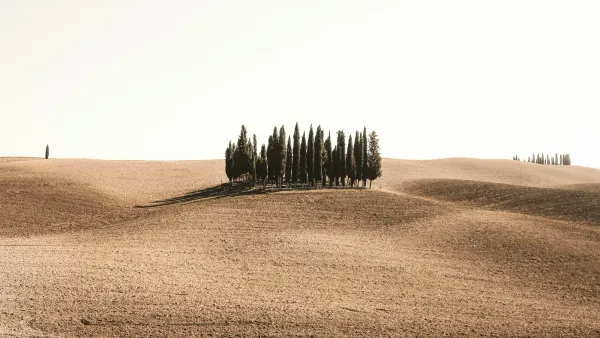 When Less Is More: The Argument Dilution Effect