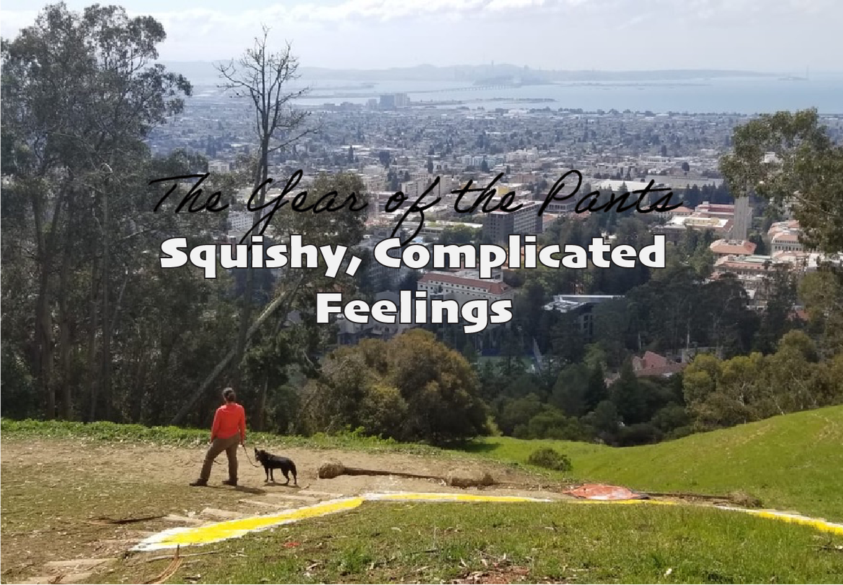 Squishy, Complicated Feelings