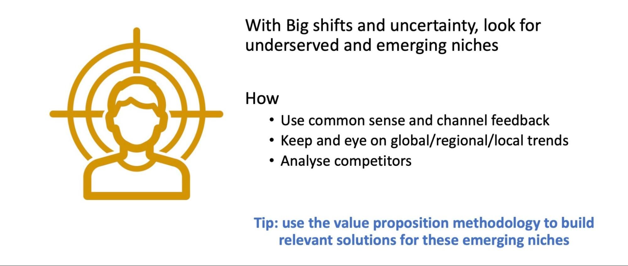 look for underserved and emerging niches