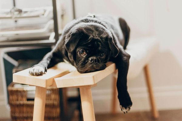 4 signs your sales demo is boring buyers