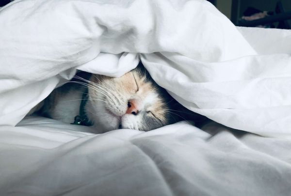 Snooze-proof your product training