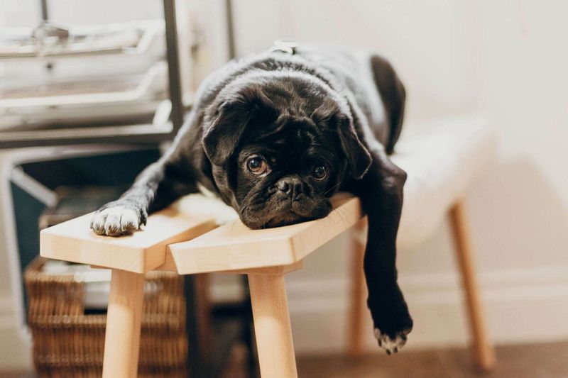 4 signs your sales demo is boring buyers