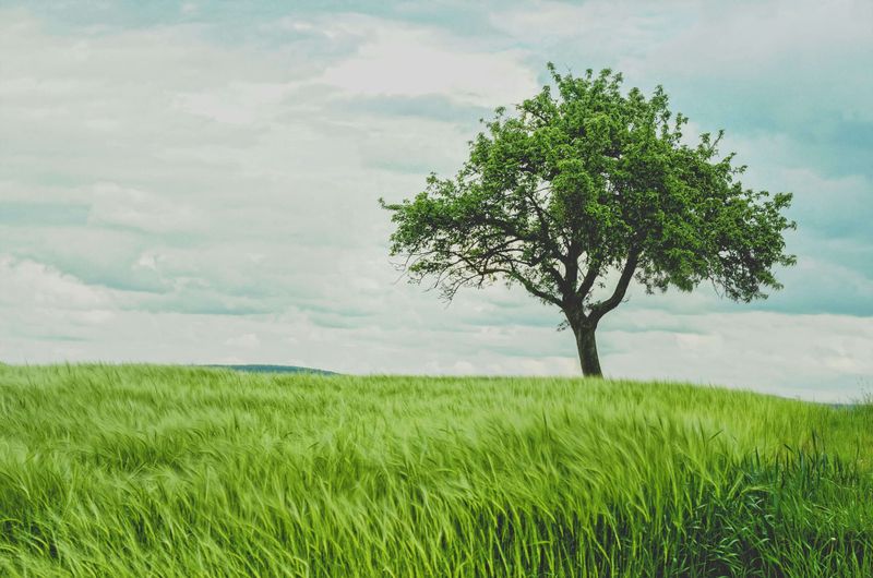 A complete guide to GTM methodologies