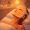 LED light therapy 