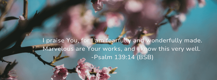 Stewardship & Self Care
                        
