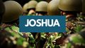 Joshua 24: A Beautiful Ending
