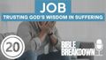 Job 20: Sin Has a Price Tag
