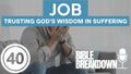 Job 40: Can You Trust What You Don't Understand?
