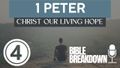 1 Peter 04: Suffering is Like Windshield Flappers