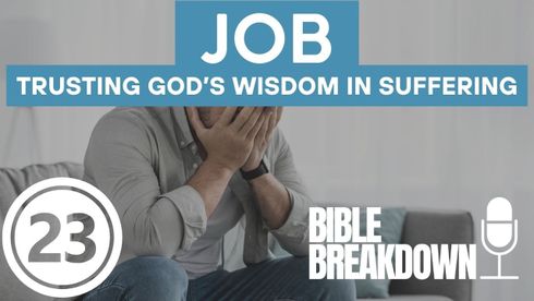 Job 23: Bitter Days Without Bitter Hearts