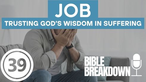 Job 39: Why Do We Think We Can Understand?