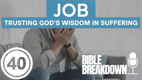 Job 40: Can You Trust What You Don't Understand?