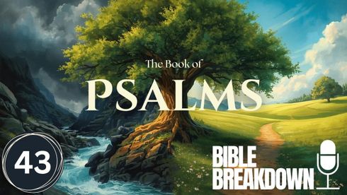 Psalm 43: Fighting Discouragement