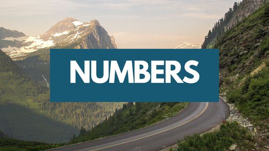 Numbers 04: God Has A Place For You