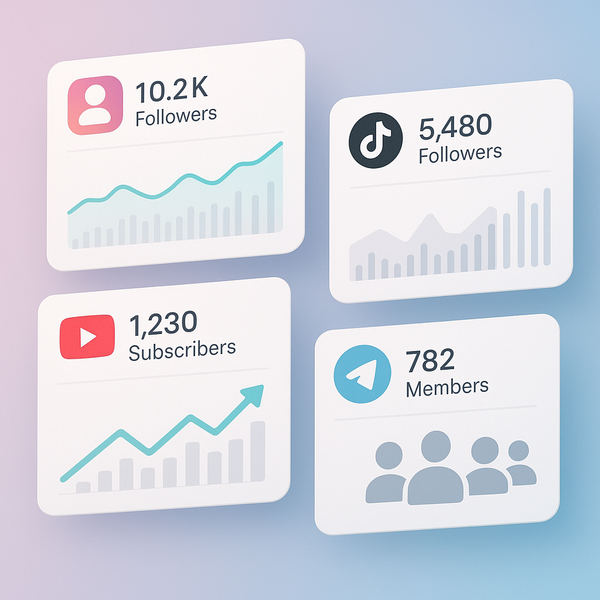 Instant SMM Panel India Guide